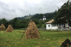 IMG_9891