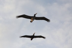 IMG_3506