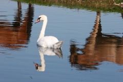 baie0086