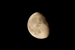 1250262-cor