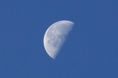 1250263-cor