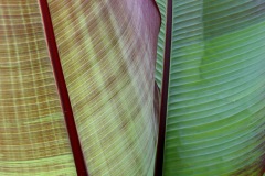 156_5602