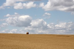 IMG_7153