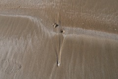 P1090589