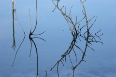 fourq0019