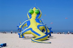 Berck0085