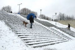 IMG_6084