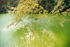 02-11-Reflets2