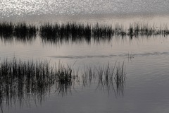 1240561-cor