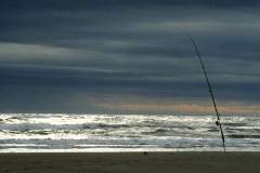 18-1990-camargue