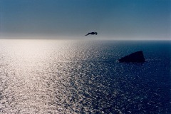 71-1998-mer