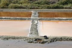 ile0026