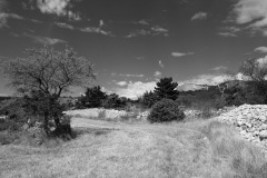 Fragments de paysage