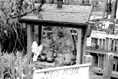 52-1994-pologne-ours