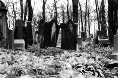 57-1995-pologne-Retrouvailles