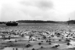 63-1996-roteneuf