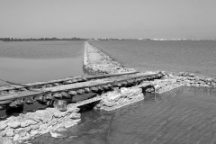 form0117