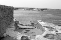 form0243
