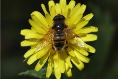 1200348-cor