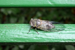 P1120403