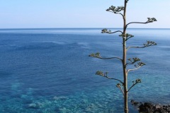 106-0638-cor