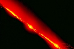 106-0683-cor