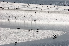 baie0070