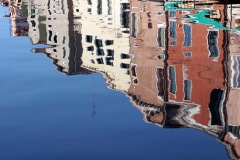 veni0219-20x30