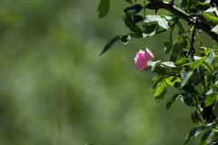 1190257-cor
