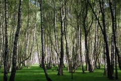 DSCN0390