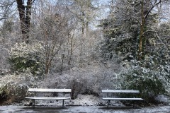 IMG_8598-cor