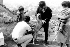 02-1985-pérou-vacc