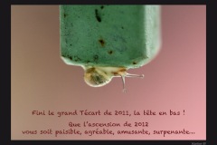 Voeux-2012